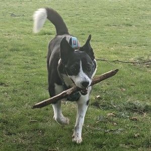 Meet your Posher, Patricia